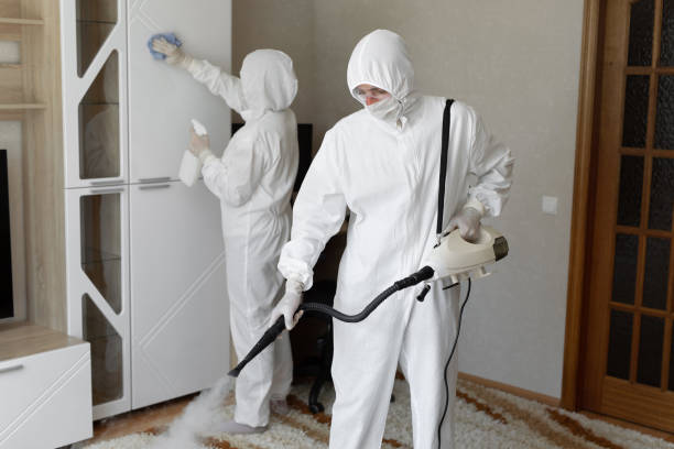 24/7 Emergency Odor Removal experts in Millstone Township, NJ